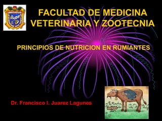 FACULTAD DE MEDICINA
VETERINARIA Y ZOOTECNIA
PRINCIPIOS DE NUTRICION EN RUMIANTES
Dr. Francisco I. Juarez Lagunes
 
