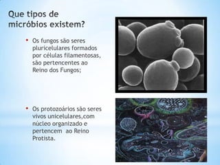 •   Os fungos são seres
    pluricelulares formados
    por células filamentosas,
    são pertencentes ao
    Reino dos Fungos;




•   Os protozoários são seres
    vivos unicelulares,com
    núcleo organizado e
    pertencem ao Reino
    Protista.
 