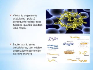 •   Vírus são organismos
    acelulares , pois só
    conseguem realizar suas
    funções quando invadem
    uma célula.




•   Bactérias são seres
    unicelulares, sem núcleo
    organizado e pertencem
    ao reino monera
 