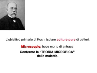 L’obiettivo primario di Koch: isolare colture pure di batteri.

           Microscopio: bove morto di antrace
          Confermò la “TEORIA MICROBICA”
                    delle malattie.
 