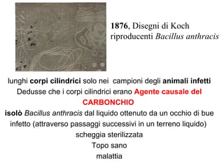 1876, Disegni di Koch
                                riproducenti Bacillus anthracis




 lunghi corpi cilindrici solo nei campioni degli animali infetti
    Dedusse che i corpi cilindrici erano Agente causale del
                         CARBONCHIO
isolò Bacillus anthracis dal liquido ottenuto da un occhio di bue
  infetto (attraverso passaggi successivi in un terreno liquido)
                       scheggia sterilizzata
                            Topo sano
                             malattia
 