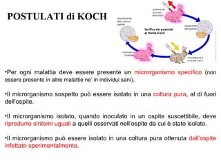 POSTULATI di KOCH




•Per ogni malattia deve essere presente un microrganismo specifico (non
essere presente in altre malattie ne’ in individui sani).

•Il microrganismo sospetto può essere isolato in una coltura pura, al di fuori
dell’ospite.

•Il microrganismo isolato, quando inoculato in un ospite suscettibile, deve
riprodurre sintomi uguali a quelli osservati nell’ospite da cui è stato isolato.

•Il microrganismo può essere isolato in una coltura pura ottenuta dall’ospite
infettato sperimentalmente.
 