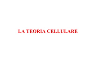 LA TEORIA CELLULARE
 