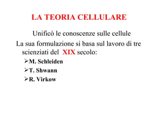 LA TEORIA CELLULARE

      Unificò le conoscenze sulle cellule
La sua formulazione si basa sul lavoro di tre
  scienziati del XIX secolo:
  M. Schleiden
  T. Shwann
  R. Virkow
 