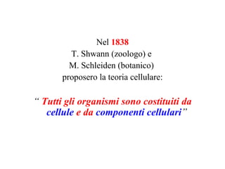 Nel 1838
         T. Shwann (zoologo) e
         M. Schleiden (botanico)
       proposero la teoria cellulare:

“ Tutti gli organismi sono costituiti da
   cellule e da componenti cellulari”
 
