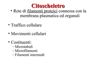 Citoscheletro
 • Rete di filamenti proteici connessa con la
      membrana plasmatica ed organuli

• Traffico cellulare
• Movimenti cellulari
• Costituenti:
  – Microtubuli
  – Microfilamenti
  – Filamenti intermedi
 