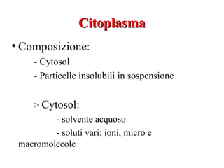 Citoplasma
• Composizione:
     - Cytosol
     - Particelle insolubili in sospensione


    > Cytosol:
         - solvente acquoso
         - soluti vari: ioni, micro e
 macromolecole
 