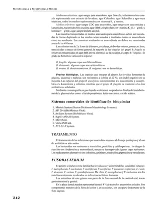 Microbiología y Parasitología Médicas
242
Medios no selectivos: agar-sangre para anaerobios, agar Brucella, infusión cerebro-cora-
zón suplementada con extracto de levadura, agar Columbia, agar Schaedler y agar-soya
tripticasa; todos los medios suplementados con vitamina K1
y hemina.
Medios selectivos: agar-sangre CDC para anaerobios, agar-sangre con vancomicina y
kanamicina, bacteroides bilis esculina agar (BBE), tioglicolato con vitamina K1
(0,1 g/mL)y
hemina (5 g/mL), agar-sangre feniletil alcohol.
Las muestras transportadas en medios adecuados para anaerobiosis deben ser inocula-
das de forma duplicada en los medios seleccionados e incubadas tanto en anaerobiosis
como en aerobiosis. Las muestras sembradas en anaerobiosis no deben ser examinadas
antes de las 48 horas.
Las colonias son de 2 a 3 mm de diámetro, circulares, de bordes enteros, convexas, lisas,
translúcidas a opacas de forma general; la mayoría de las especies del grupo B. fragilis se
observan ennegrecidas en agar BBE por la hidrólisis de la esculina, excepto B. vulgatus. El
grado de hemólisis varía con la especie:
B. fragilis: algunas cepas son ß-hemolíticas.
B. distasonis: algunas cepas son α-hemolíticas.
B. ovatus, B. thetaiotaomicron, B. vulgatus: son no hemolíticas.
Pruebas fisiológicas. Las especies que integran el género Bacteroides fermentan la
glucosa, sacarosa y maltosa; son resistentes a la bilis al 20 %; son indol negativo en su
mayoría. Las especies del grupo B. ureolyticus son resistentes a la vancomicina y suscepti-
bles a la kanamicina y colistina, mientras que el grupo B. fragilis es resistente a los tres
antibióticos señalados.
Mediante cromatografía en gas-líquido se obtienen los productos finales del metabolis-
mo de la glucosa tales como: el ácido propiónico, ácido succínico y ácido acético.
Sistemas comerciales de identificación bioquímica
1. Minitek System (Becton Dickinson Microbiology Systems).
2. API 20-A(BioMérieux-Vitek).
3. An-Ident System (BioMérieux-Vitex).
4. RapID-ANA II System.
5. MicroScan.
6. VitekANI Card.
7. ATB 32-ASystem.
TRATAMIENTO
El tratamiento de las infecciones por anaerobios requiere el drenaje quirúrgico y el uso
de antibióticos adecuados.
Los bacteroides son resistentes a tetraciclina, penicilina y cefalosporinas; las drogas de
elección son clindamicina y metronidazol, aunque se han reportado algunas cepas resistentes.
Losmedicamentosalternativosson:cefoxitina,cefotétano,mezlocilina,piperacilinaymoxalactam.
FUSOBACTERIUM
El género se incluye en la familia Bacteroidaceaey comprende las siguientes especies:
F. necrophorum, F. nucleatum, F. mortiferum, F. naviforme, F. pseudonecrophorum, F. russii,
F. ulcerans, F. varium, F. gonidiaformans. De ellos, F. necrophorum y F. nucleatum son los
más frecuentemente recobrados en infecciones clínicas humanas.
Los miembros de este género son parte de la flora normal de la cavidad oral, tracto
gastrointestinal y genital.
En la placa dental pueden representar hasta el 4 % de todos los anaerobios aislados. Son
componentes menores de la flora del colon y, en ocasiones, son una parte importante de la
flora vaginal.
 