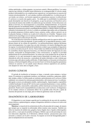 291
Cocobacilos gramnegativos pequeños
células epitelioides y células gigantes, con necrosis central y fibrosis periférica. Las cuatro
especies que infectan al hombre tienen diferencias en su patogenicidad. B. abortus puede
producir enfermedad leve sin complicaciones supurativas, con granulomas no caseosos del
sistema reticuloendotelial. B. canis produce también enfermedad leve. La infección por B.
suis tiende a ser crónica, con lesiones supurativas y granulomas caseosos. La infección por
B. melitensis es mucho más aguda y grave. Se señala que la sensibilidad a la endotoxina
puede desempeñar una función en la patogenia, ya que las personas con brucelosis activa
reaccionan de manera más notable a la endotoxina que las normales. En las infecciones con
aborto en bovinos, los microorganismos se encuentran, fundamentalmente, en la porción
fetal de la placenta, las membranas fetales y el líquido amniótico. Este marcado viscerotropismo
depende de la presencia de eritritol, un polihidroalcohol (HOCH2
-CHOH-CHOH-CH2
OH)que
estimula el crecimiento de B. abortus y se halla en cantidades apreciables sólo en la placenta
de animales propensos al aborto séptico (vacas, carneros, cerdos, cabras y perros) y no en
la placenta humana; el aborto no es parte de la infección en el hombre. Tampoco existe
eritritol en los macrófagos ni en el sistema reticuloendotelial, lo que hace suponer que no es
determinante para la infección por Brucella.
No se han descrito exotoxinas ni cápsulas antifagocíticas entre las especies deBrucella.
La evolución de la infección depende, en gran medida, de la capacidad de penetrar y multi-
plicarse dentro de las células de mamíferos. Los polimorfonucleares ingieren fácilmente
estos microorganismos. Las cepas lisas son más resistentes a la muerte intrafagocítica que
las rugosas. La estimulación habitual del metabolismo oxidativo que acompaña a la fagocitosis
no ocurre en la infección porB. abortus. Parece haber una inhibición de la degranulación de
los neutrófilos (fusión fagosoma-lisosoma), con liberación dentro del fagosoma de estas
enzimas, incluyendo la mieloperoxidasa. Como consecuencia, se suprime la actividad
antibacteriana de los polimorfonucleares. Se estima que existe producción de un factor de
virulencia in vivo que incrementa la supervivencia intracelular, de modo que B. abortus
obtenida de cultivos de monocitos o procedente de tejidos infectados es más virulenta que
la misma cepa cultivada en medios artificiales. El daño hepático es frecuente en la brucelosis
humana, en forma de hepatitis difusa con necrosis focal o en forma de pequeños granulomas
crónicos no caseosos. B. suis puede causar abscesos crónicos supurativos con calcifica-
ción después de varios años en hígado y bazo.
DATOS CLÍNICOS
El período de incubación en humanos es largo, a menudo varias semanas o incluso
meses. El comienzo es usualmente insidioso, con malestar, escalofríos, sudaciones, debili-
dad, mialgia, cefalea. La fiebre puede ser remitente, particularmente enB. melitensis (fiebre
ondulante; son comunes los síntomas gastrointestinales y del sistema nervioso. La enferme-
dad aguda se asocia con adenopatía notable, esplenomegalia, hepatomegalia y espondilitis
vertebral localizada. En más del 20 % de los casos se presenta bacteriemia y a veces, también,
meningoencefalitis, osteomielitis, endocarditis, nefritis intersticial con lesiones focales en el
glomérulo. Puede ocurrir orquiepididimitis en infecciones conB. melitensis. El diagnóstico
en los estadios crónicos es sumamente difícil. No es posible aislar Brucella a partir de
muestras del paciente en esta etapa, pero el título de aglutininas suele ser elevado.
DIAGNÓSTICO DE LABORATORIO
El diagnóstico es casi siempre sugerido por la combinación de una serie de considera-
ciones clínicas y epidemiológicas, aunque el diagnóstico definitivo se basa en el cultivo del
microorganismo.
Muestras. La mayoría de los aislamientos deBrucella proceden de la sangre, de manera
que siempre que se sospeche la enfermedad, deben tomarse estas muestras. También son
útiles las muestras de médula ósea, ganglios, hueso, hígado, bazo o líquido cefalorraquídeo
para cultivo, y suero para las pruebas serológicas. Debido a que un alto porcentaje de casos
son infecciones adquiridas en el laboratorio, deberán tomarse precauciones para evitar
aerosoles y contacto con la piel o mucosas. Se requiere un nivel de bioseguridad grado 3
para la manipulación de esas muestras.
 