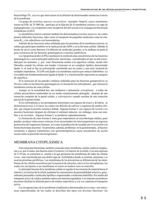Características de las células procarióticas y eucarióticas
3 1
bacteriófago T6, a la vez que intervienen en la difusión de determinadas sustancias a través
de la membrana.
Un grupo de proteínas mayores no porínicas (ejemplo: OmpA), cuyos monómeros
tienen un P.M. de 35 000 Da, participa en la fijación de la membrana externa a la capa de
peptigoglucano y se comportan como receptoras del pili sexual en la conjugación bacteriana
mediada por el pili F.
La membrana exterior contiene también las denominadasproteínas menores, las cuales
poseen diferentes funciones, tales como el transporte de pequeñas moléculas como la vita-
mina B12
y los sideróforos con hemosiderina.
Además de las funciones antes señaladas para las proteínas de la membrana exterior, se
señala que participan también en la replicación delADN y en la división celular. Debido al
hecho de servir como barreras a la difusión de moléculas grandes, se le atribuye en parte la
gran resistencia de las bacterias gramnegativas a muchos antibióticos.
Los lipopolisacáridos (LPS) constituyen la molécula más característica de las bacterias
gramnegativas y son la principal endotoxina bacteriana, considerados así por su alta toxici-
dad para los animales y por estar firmemente unidos a la superficie celular, siendo sólo
liberados cuando las células son lisadas. Consisten en un complejo lipídico denominado
lípido A, al cual se fija un polisacárido constituido por un centro y una serie terminal de
unidades repetidoras. El LPS está fijado a la membrana exterior por enlaces hidrófobos. La
toxicidad está fundamentalmente ligada al lípido A y el polisacárido representa un antígeno
de superficie.
Si la remoción de las paredes celulares señaladas para las bacterias grampositivas se
llevara a cabo en las bacterias gramnegativas, se formarían los esferoplastos, que retienen la
membrana externa de estas células.
Aunque en la actualidad hay una tendencia a denominar protoplastos a todas las
células procarióticas mantenidas en un medio osmóticamente protegido, después de una
remoción completa de la pared celular; y esferoplastos cuando resultan de una remoción
parcial de la pared celular.
Si los esferoplastos y los protoplastos bacterianos son capaces de crecer y dividirse, se
denominan formas L (Lister), las cuales son difíciles de cultivar y requieren de medios sóli-
dos que tengan la presión osmótica debida. Algunas formas L son capaces de revertir a su
ancestro bacteriano después de eliminar el estímulo inductor, sin embargo, otras son esta-
bles y no revierten. Algunas formas L se producen espontáneamente.
La formación de estas formas L tiene gran importancia en microbiología médica, pues
pueden producir infecciones crónicas al ser secuestrados los microorganismos en regiones
protectoras del organismo humano, así como la producción de recaídas por la reversión a la
forma bacteriana ancestral. Se presentan, además, problemas en la quimioterapia, al hacerse
resistentes a algunos tratamientos con quimioterapéuticos cuyos mecanismos de acción
recaen sobre la pared del microorganismo.
MEMBRANA CITOPLÁSMICA
Esta estructura bacteriana, también conocida como membrana celular, rodea al citoplas-
ma y es, por lo tanto, una barrera entre el exterior y el interior de la célula. Con una espesura
de 5-10 nm, su estructura es similar a la que presentan las membranas de todas las células
vivas; está constituida por una doble capa de fosfolípidos donde se insertan proteínas y se
asocian proteínas periféricas. Las membranas de los procariotas se diferencian de las mem-
branas de las células eucarióticas por la ausencia de esteroles, salvo en los micoplasmas, los
cuales los incorporan a sus membranas al crecer en medios ricos en esteroles.
La principal función de la membrana celular es regular el movimiento de material hacia el
interior y el exterior de la célula mediante los mecanismos de permeabilidad selectiva, gene-
ralmente permeable a moléculas lipófilas e impermeable a moléculas hidrófilas. Por medio del
transporte activo de solutos también realiza esta función reguladora. Los sistemas enzimáticos
presentes facilitan la difusión pasiva de solutos específicos y a la vez catalizan el transporte
activo.
Las invaginaciones de la membrana citoplásmica denominadasmesosomas son estruc-
turas especializadas, de los cuales se describen dos tipos con diversas funciones: los
 
