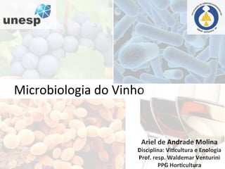 Microbiologia	
  do	
  Vinho	
  
Ariel	
  de	
  Andrade	
  Molina	
  
Disciplina:	
  Vi2cultura	
  e	
  Enologia	
  
Prof.	
  resp.	
  Waldemar	
  Venturini	
  
PPG	
  Hor2cultura	
  
 