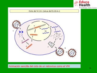 13
Animación sencilla del ciclo de un retrovirus como el VIH
 
