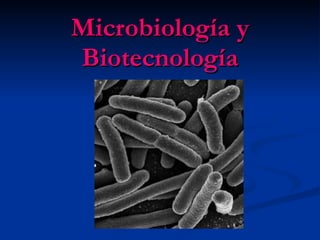 Microbiología y Biotecnología 