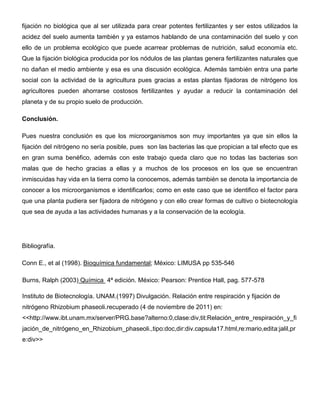 fijación no biológica que al ser utilizada para crear potentes fertilizantes y ser estos utilizados la
acidez del suelo aumenta también y ya estamos hablando de una contaminación del suelo y con
ello de un problema ecológico que puede acarrear problemas de nutrición, salud economía etc.
Que la fijación biológica producida por los nódulos de las plantas genera fertilizantes naturales que
no dañan el medio ambiente y esa es una discusión ecológica. Además también entra una parte
social con la actividad de la agricultura pues gracias a estas plantas fijadoras de nitrógeno los
agricultores pueden ahorrarse costosos fertilizantes y ayudar a reducir la contaminación del
planeta y de su propio suelo de producción.

Conclusión.

Pues nuestra conclusión es que los microorganismos son muy importantes ya que sin ellos la
fijación del nitrógeno no sería posible, pues son las bacterias las que propician a tal efecto que es
en gran suma benéfico, además con este trabajo queda claro que no todas las bacterias son
malas que de hecho gracias a ellas y a muchos de los procesos en los que se encuentran
inmiscuidas hay vida en la tierra como la conocemos, además también se denota la importancia de
conocer a los microorganismos e identificarlos; como en este caso que se identifico el factor para
que una planta pudiera ser fijadora de nitrógeno y con ello crear formas de cultivo o biotecnología
que sea de ayuda a las actividades humanas y a la conservación de la ecología.




Bibliografía.

Conn E., et al (1998). Bioquímica fundamental; México: LIMUSA pp 535-546

Burns, Ralph (2003) Química 4ª edición. México: Pearson: Prentice Hall, pag. 577-578

Instituto de Biotecnología. UNAM.(1997) Divulgación. Relación entre respiración y fijación de
nitrógeno Rhizobium phaseoli.recuperado (4 de noviembre de 2011) en:
<<http://www.ibt.unam.mx/server/PRG.base?alterno:0,clase:div,tit:Relación_entre_respiración_y_fi
jación_de_nitrógeno_en_Rhizobium_phaseoli.,tipo:doc,dir:div.capsula17.html,re:mario,edita:jalil,pr
e:div>>
 