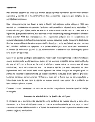 Desarrollo.

Para empezar debemos de saber que muchos de los aspectos importantes de nuestro sistema de
agricultura y es más en el funcionamiento de los ecosistemas        dependen por completo de las
actividades microbianas.

Hay   microorganismos que llevan a cabo la fijación del nitrógeno estos utilizan el NH3 para
producir los componentes nitrogenados (proteínas, ácidos nucléicos, pigmentos) de sus tejidos. El
exceso de nitrógeno fijado puede excretarse al suelo u otros medios en los cuales crece el
organismo que fija este elemento. Hay estudios acerca de cómo algunas leguminosas en arena de
cultivo excretan NH3. Las cianobacterias (los      organismos antiguos que se caracterizan por
conjugar el proceso de la fotosíntesis oxigénica con una estructura celular típicamente bacteriana.
Son las responsables de la primera acumulación de oxígeno en la atmósfera) ,excretan también
NH3, así como aminoácidos y péptidos. Si la fijación del nitrógeno se da en el suelo puede entrar
al proceso de nitrificación. (Burns, 2003)La nitrificación es la etapa del ciclo del nitrógeno que se
lleva a cabo en los suelos.

Es decir las plantas que logran establecer una relación con microorganismos son beneficiadas en
cuanto a crecimiento, y colonización de suelos en los que sería imposible, pero a pesar del hecho
de que el NH3 es la forma en la cual el nitrógeno puede entrar o incorporarse al suelo
(nitrificación), poco NH3 existe en este. Los estudios indican que este compuesto se oxida
rápidamente hasta ion nitrato; este último representa la fuente principal de nitrógeno para las
plantas no fijadoras de este elemento. La oxidación del NH3 es llevada a cabo por dos grupos de
bacterias conocidas como bacterias nitrificantes, estas son la fuente que da como resultado la
fotosíntesis pues lo que hace la planta es obtener energía para crecer de la oxidación de
compuestos orgánicos simples.

Entonces con esto se deduce que no todas las plantas u organismos tienen la capacidad de fijar
el nitrógeno.

                     Introducción a la definición de fijación del nitrógeno.

El nitrógeno es el elemento más abundante en la atmósfera de nuestro planeta y como otros
elementos de la tierra, el nitrógeno posee un ciclo de suma importancia, ya que juega un papel
fundamental en la cadena alimenticia al fijarse en determinados microorganismos convertirse en
proteína vegetal y aminoácidos.
 