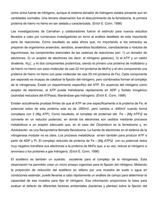 como única fuente de nitrógeno, aunque el sistema donador de hidrogeno estaba presente aun en
cantidades normales. Una tercera observación fue el descubrimiento de la ferredoxina, la primera
proteína de hierro no hemo en ser aislada y caracterizada. (Erich E. Conn, 1998)

Las investigaciones de Carnahan y colaboradores fueron el estimulo para nuevos estudios
llevados a cabo por numerosos investigadores en torno al análisis detallado de esta importante
serie de reacciones. Como resultado se sabe ahora que, no importando si los extractos se
preparan de organismos anaerobio, aerobios, anaerobios facultativos, cianobacterias o nódulos de
leguminosas, los componentes esenciales de las cadenas de reacciones son: 1) un donador de
electrones, 2) un aceptor de electrones (es decir, el nitrógeno gaseoso), 3) el ATP y un catión
divalente,    , y 4) dos componentes proteínicos, siendo el primero una proteína de molibdeno y
de hierro no hemo con peso molecular de casi 22 mil (proteína de MoFe) y el otro componente una
proteína de hierro no hemo con peso molecular de casi 55 mil (proteína de Fe). Cada componente
por separado es incapaz de catalizar la fijación del nitrógeno, pero combinados forman el complejo
de la nitrogenasa. Existe un requerimiento específico del ATP. En ausencia del nitrógeno como
aceptor de electrones, el ATP puede hidrolizarse rápidamente en ADP y fosfato inorgánico
(actividad reductora del ATPasa), liberándose gas hidrogeno. (Erich E. Conn, 1998)

Existen actualmente pruebas firmes de que el ATP se une específicamente a la proteína de Fe; el
potencial redox de esta proteína sola es de -280mV, pero cambia a -490mV cuando forma
complejos con 2 (Mg ATP). Como resultado, el complejo de proteínas del Fe - (Mg ATP)2 se
convierte en un reductor poderoso, en donde los electrones son cedidos mediante procesos
metabólicos a un aceptor adecuado que, en el caso del Clostridium es la ferredoxina y, en
Azotobacter, es una flavoproteína llamada flavodoxina. La fuente de electrones en el sistema de la
nitrogenasa modular no es clara. Los procesos metabólicos sirven también para producir ATP a
partir de ADP y Pi. El complejo reducido de proteína de Fe - (Mg ATP)2 con su potencial redox
muy negativo transfiere sus electrones a la proteína de MoFe que, a su vez, reduce el nitrógeno a
amoniaco y los protones a gas hidrogeno. (Erich E. Conn, 1998)

El acetileno es también un sustrato      excelente para el complejo de la nitrogenasa. Esta
observación ha permitido crear un micro ensayo ingenioso para la fijación del nitrógeno. Midiendo
la proporción de reducción del acetileno en etileno por una muestra de suelo o agua en
condiciones estándar, puede llevarse a cabo rápidamente un análisis de campo para determinar la
capacidad de esa muestra para fijar el nitrógeno. Esa información proporciona la basa para
evaluar el defecto de diferentes factores ambientales (bacterias y plantas) sobre la fijación del
 