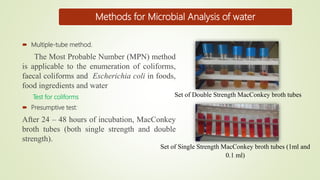 Microbiological Quality Analysis : Isolation,Identificatin and ...
