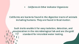 Coliforms & Other Indicator Organisms


Coliforms are bacteria found in the digestive tracts of animals
including humans. They are found in fecal matter.
Such traits enable it for easy isolation, detection, and
enumeration in the microbiological lab and are the gold
standard for microbial water testing.


 