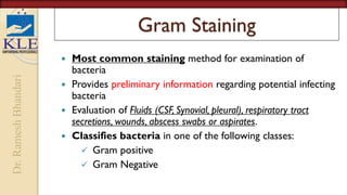 Dr.
Ramesh
Bhandari
Gram Staining
 Most common staining method for examination of
bacteria
 Provides preliminary information regarding potential infecting
bacteria
 Evaluation of Fluids (CSF, Synovial, pleural), respiratory tract
secretions, wounds, abscess swabs or aspirates.
 Classifies bacteria in one of the following classes:
 Gram positive
 Gram Negative
 