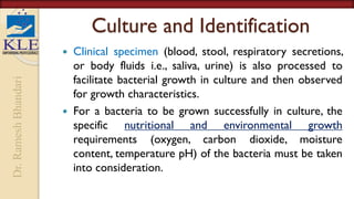 Dr.
Ramesh
Bhandari
Culture and Identification
 Clinical specimen (blood, stool, respiratory secretions,
or body fluids i.e., saliva, urine) is also processed to
facilitate bacterial growth in culture and then observed
for growth characteristics.
 For a bacteria to be grown successfully in culture, the
specific nutritional and environmental growth
requirements (oxygen, carbon dioxide, moisture
content, temperature pH) of the bacteria must be taken
into consideration.
 