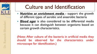 Dr.
Ramesh
Bhandari
Culture and Identification
 Nutritive or enrichment media - support the growth
of different types of aerobic and anaerobic bacteria
 Blood agar is also considered to be differential media
because it can distinguish between organisms based on
certain growth characteristics.
(Note: After culture of the bacteria in artificial media they
should be observed for the characteristics under
microscope for identification.)
 