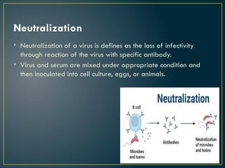 Neutralisation Virus Microbiological diagnosis of microbial diseases | PPTX