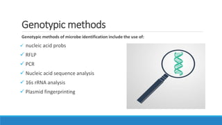 Microbiological identification | PPTX | Biological Sciences | Science