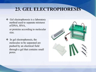  Gel electrophoresis is a laboratory
method used to separate mixtures
ofDNA, RNA,
or proteins according to molecular
size.
 In gel electrophoresis, the
molecules to be separated are
pushed by an electrical field
through a gel that contains small
pores.
23. GEL ELECTROPHORESIS
 