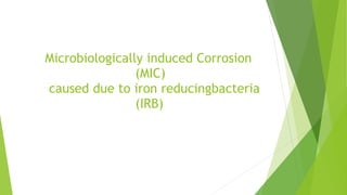  
  
Microbiologically induced Corrosion
 
(MIC)
 
caused due to iron reducingbacteria
 
(IRB)
 