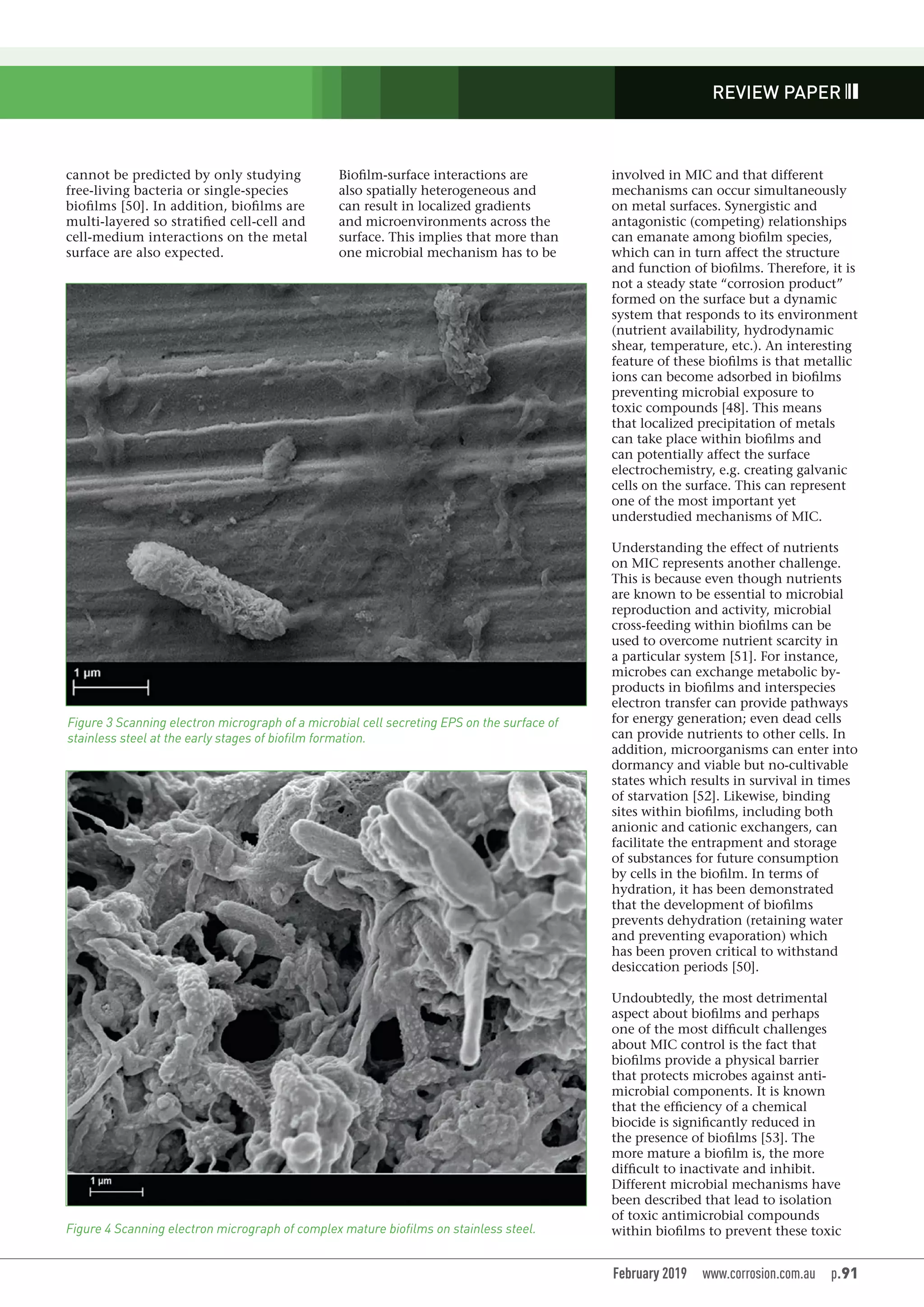Microbiologically influenced corrosion (mic) 2019 | PDF