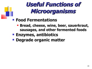 Useful Functions of Microorganisms Food Fermentations Bread, cheese, wine, beer, sauerkraut, sausages, and other fermented foods Enzymes, antibiotics Degrade organic matter 
