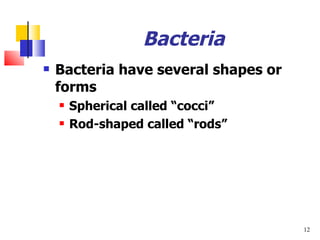 Bacteria Bacteria have several shapes or forms Spherical called  “cocci” Rod-shaped called  “rods” 