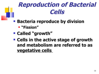 Reproduction of Bacterial Cells Bacteria reproduce by division “ Fission” Called  “growth” Cells in the active stage of growth and metabolism are referred to as  vegetative cells  