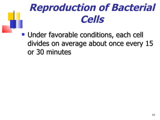 Reproduction of Bacterial Cells Under favorable conditions, each cell divides on average about once every 15 or 30 minutes 