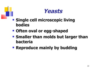 Yeasts Single cell microscopic living bodies Often oval or egg-shaped Smaller than molds but larger than bacteria Reproduce mainly by budding 