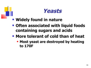 Yeasts Widely found in nature Often associated with liquid foods containing sugars and acids More tolerant of cold than of heat Most yeast are destroyed by heating to 170F  
