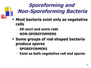 Sporeforming and  Non-Sporeforming Bacteria Most bacteria exist only as vegetative cells All cocci and some rods NON-SPOREFORMERS Some groups of rod-shaped bacteria produce spores SPOREFORMERS Exist as both vegetative cell and spores 