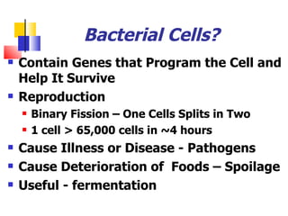 Bacterial Cells? Contain Genes that Program the Cell and Help It Survive Reproduction Binary Fission – One Cells Splits in Two 1 cell > 65,000 cells in ~4 hours Cause Illness or Disease - Pathogens Cause Deterioration of  Foods – Spoilage Useful - fermentation  