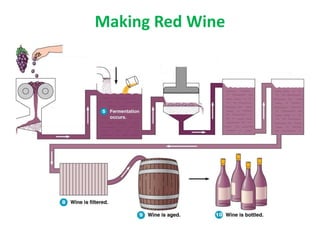 Making Red Wine
 