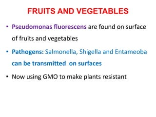 FRUITS AND VEGETABLES
• Pseudomonas fluorescens are found on surface
of fruits and vegetables
• Pathogens: Salmonella, Shigella and Entameoba
can be transmitted on surfaces
• Now using GMO to make plants resistant
 