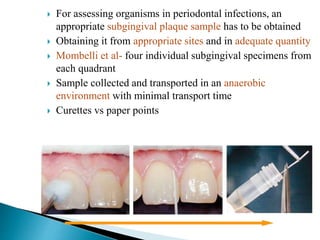 Paper Point Sampling Microbiological tests of periodontal significance | PPTX