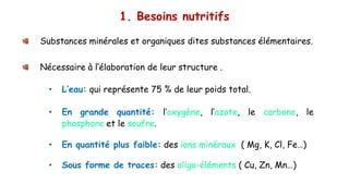 1. Besoins nutritifs
Substances minérales et organiques dites substances élémentaires.
Nécessaire à l’élaboration de leur structure .
• L’eau: qui représente 75 % de leur poids total.
• En grande quantité: l’oxygène, l’azote, le carbone, le
phosphore et le soufre.
• En quantité plus faible: des ions minéraux ( Mg, K, Cl, Fe…)
• Sous forme de traces: des oligo-éléments ( Cu, Zn, Mn…)
 