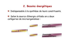 2. Besoins énergétiques
Indispensable à la synthèse de leurs constituants.
Selon la source d’énergie utilisée on a deux
catégories de microorganismes :
Source d’énergie
lumineuse
chimique
Phototrophe
(photosynthétiques)
Chimiotrophe
(chimiosynthétiques)
 