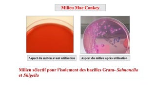 Milieu Mac Conkey
Milieu sélectif pour l'isolement des bacilles Gram- Salmonella
et Shigella
Aspect du milieu avant utilisation Aspect du milieu après utilisation
 