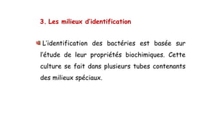 3. Les milieux d’identification
L’identification des bactéries est basée sur
l’étude de leur propriétés biochimiques. Cette
culture se fait dans plusieurs tubes contenants
des milieux spéciaux.
 