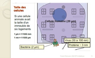 11Franck Rencurel, 2020 BTS diététique
 
