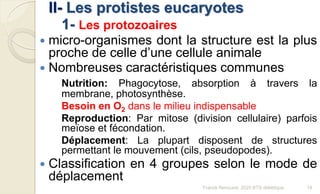 II- Les protistes eucaryotes
1- Les protozoaires
 micro-organismes dont la structure est la plus
proche de celle d’une cellule animale
 Nombreuses caractéristiques communes
Nutrition: Phagocytose, absorption à travers la
membrane, photosynthèse.
Besoin en O2 dans le milieu indispensable
Reproduction: Par mitose (division cellulaire) parfois
meïose et fécondation.
Déplacement: La plupart disposent de structures
permettant le mouvement (cils, pseudopodes).
 Classification en 4 groupes selon le mode de
déplacement
14Franck Rencurel, 2020 BTS diététique
 