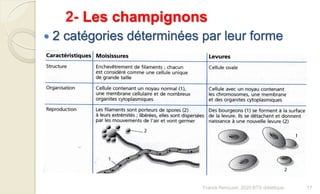 2- Les champignons
 2 catégories déterminées par leur forme
17Franck Rencurel, 2020 BTS diététique
 