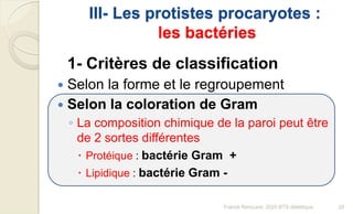 III- Les protistes procaryotes :
les bactéries
1- Critères de classification
 Selon la forme et le regroupement
 Selon la coloration de Gram
◦ La composition chimique de la paroi peut être
de 2 sortes différentes
 Protéique : bactérie Gram +
 Lipidique : bactérie Gram -
20Franck Rencurel, 2020 BTS diététique
 