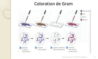 27Franck Rencurel, 2020 BTS diététique
 